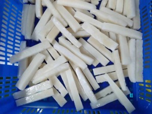 squid strips