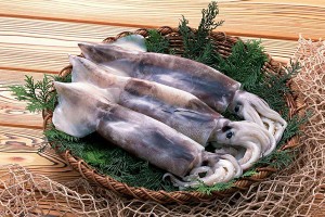 Squid whole