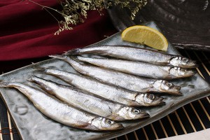 Capelin