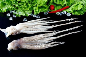 Squid tentacles