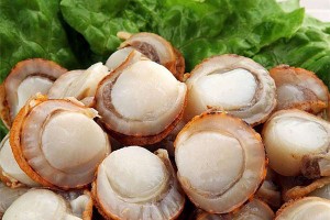 Frozen boiled scallops with skirt