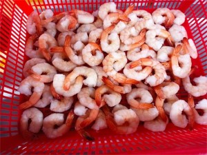 Frozen vanamei shrimp  CPDTO