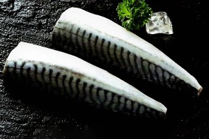 Atlantic mackerel fillets