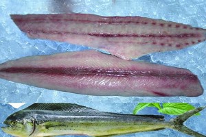 Mahi mahi