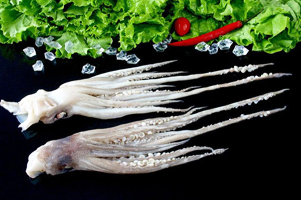 Squid tentacles Featured Image