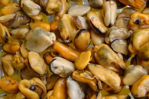 Wholesale Frozen Half Cut Swimming Crab - Mussel meat – Good Sea