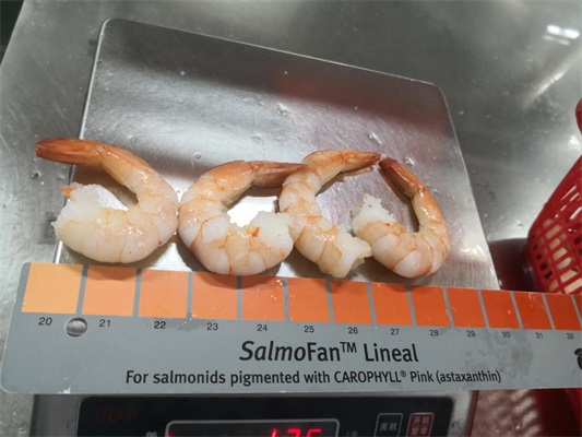 Frozen vanamei shrimp  CPDTO Featured Image