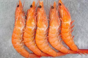 High Quality Frozen Pink Shrimp Pud - CHOSO – Good Sea