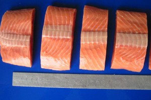 Chum salmon portion