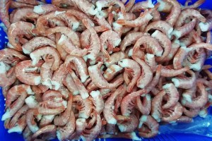 Chinese Professional Frozen Crayfish In Dill Brine - Argentina shrimp HLSO – Good Sea