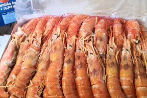 Manufacturer for Frozen Argentina Shrimp Pud - Argentina shimp Whole – Good Sea