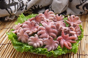 Hot-selling Frozen Octopus - Baby octopus – Good Sea